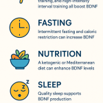 effective ways to increase bdnf